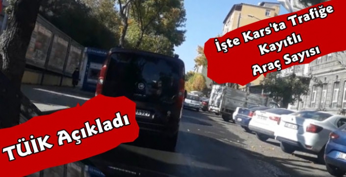 Kars'ta Trafiğe Kayıtlı Araç Sayısı 45 Bin 358'e Yükseldi