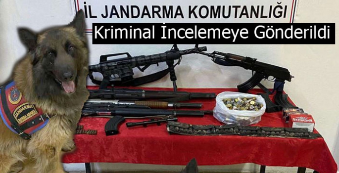 Kars'ta Yakalanan Ruhsatsız Tüfekler İncelemeye Gönderildi