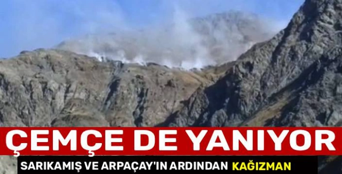 Kars'ta Yangın Alarmı: Birçok Noktadan Alevler Yükseliyor