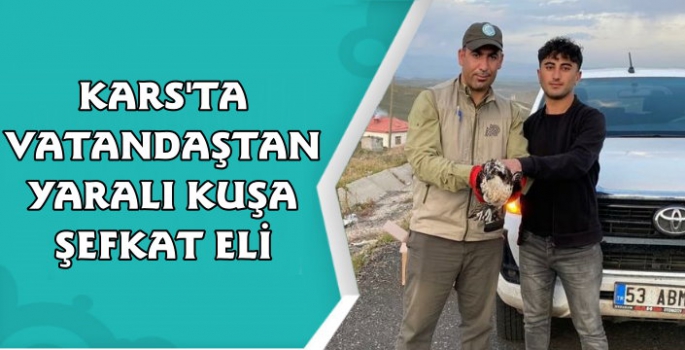 Kars'ta Yaralı Bulunan Gökdoğan Kuşuna Yardım Eli