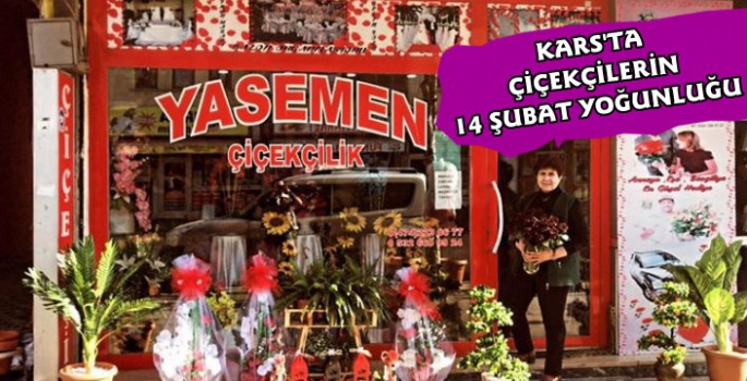 Kars'ta Yasemen Çiçeklik 14 Şubat'a Hazır