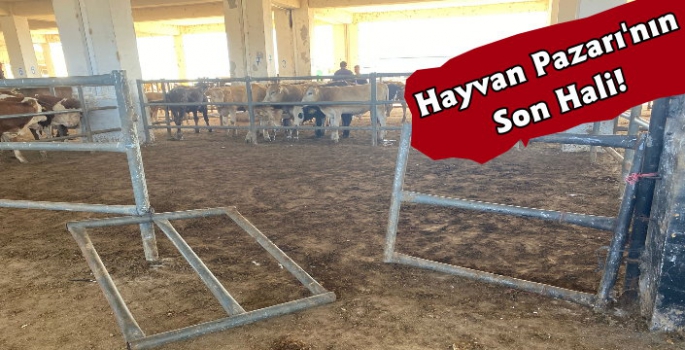 Kars'ta Yeni Hayvan Pazarının Son Hali