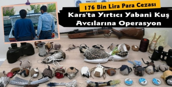 Kars'ta Yırtıcı Kuş Ticaretine 176 Bin Lira Para Cezası