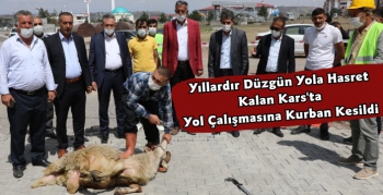 Kars'ta Yol Yapımı İçin Kurban Kesildi