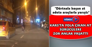 Kars'ta Yola Çıkan Sahipsiz At Sürücülere Zor Anlar Yaşattı