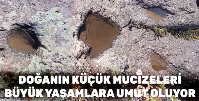 Kayaların Oyukları Kuşlara Hayat Veriyor: Doğal Suluklar Kars'ta Canlılara Umut Oluyor