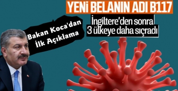Korona'dan Sonra Yeni Virüs Tehlikesi B117, Türkiye Dört Ülkeye Kapıları Kapadı