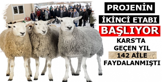 Koyun Projesinin 2. Etabı Başlıyor