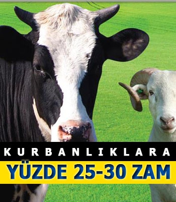 Kurbanlıklara Yüzde 25-30 Zam