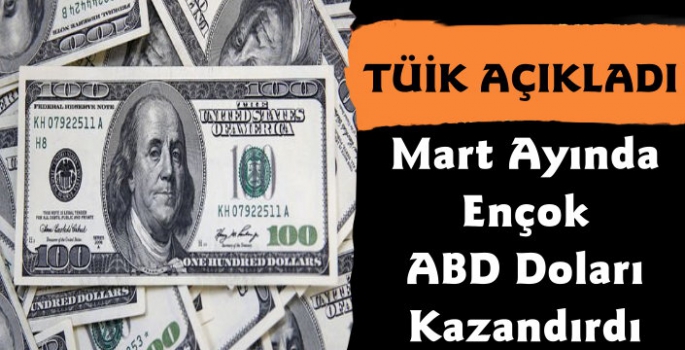 Mart Ayında En Çok ABD Doları Kazandırdı