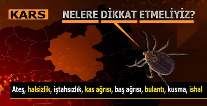 Nelere Dikkat Etmeliyiz?