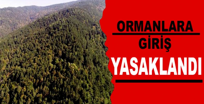 Ormanlık Alana Giriş Çıkışlar Yasaklandı