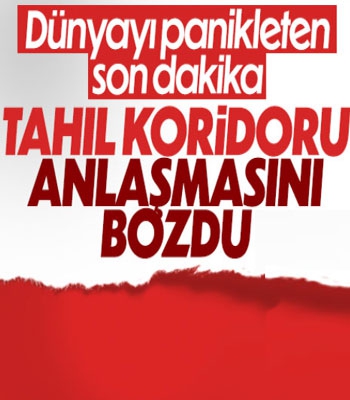 Rusya, Tahıl Anlaşması'nın katılımını askıya aldı
