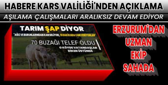 Şap Hastalığı İçin Erzurum'dan Uzman Ekip Kars'ta