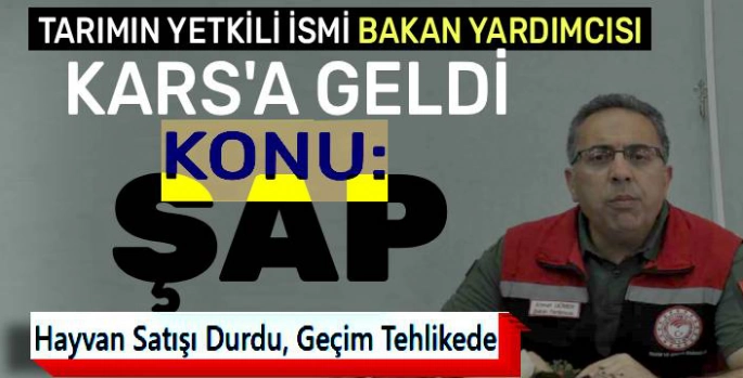 Şap Hastalığı Kars'ta Yayılıyor: Çiftçiler Zor Durumda