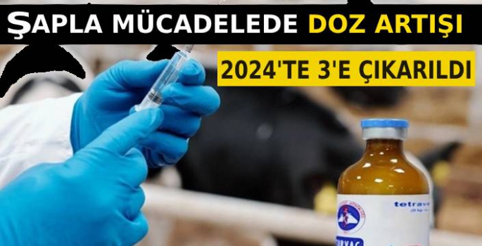 Şap İle Mücadelede Doz Artırıldı!