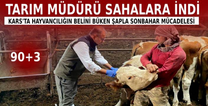 Şapla Mücadele İçin Tarım Müdürü de Sahaya İndi