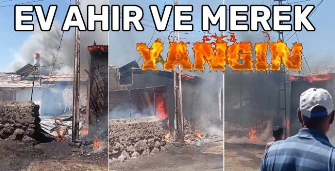 Sarıkamış Alisofu Köyü'nde Korkutan Yangın: Ev, Ahır, Merek ve Arpa Yığını Alevlere Teslim Oldu