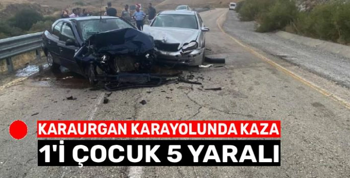 Sarıkamış'ta Feci Kaza: 1'i Çocuk 5 Kişi Yaralandı