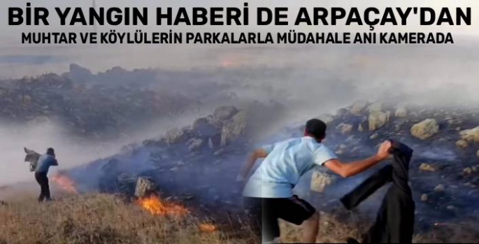 Sarıkamış'tan Sonra Bir Yangın da Arpaçay'dan: Bardaklı Köyü Merasında Anız Yangını