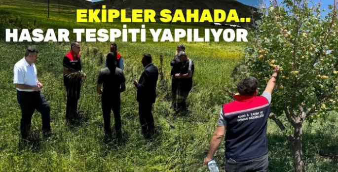 Sarıkamış ve Kağızman'da Aşırı Yağış Zarara Yol Açtı