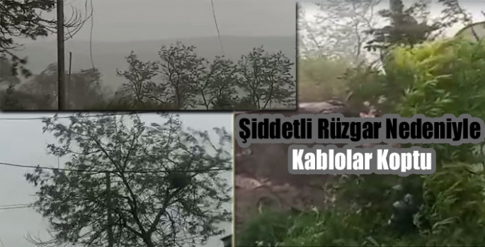 Şiddetli Rüzgar Nedeniyle Kablolar Koptu