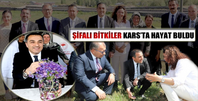 Şifalı Bitkiler Kars'ta Hayat Buldu