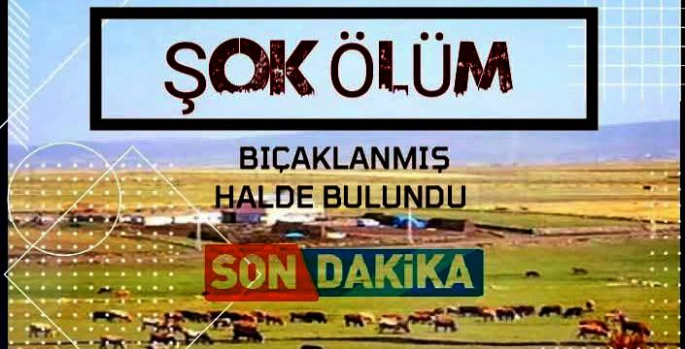 Şok Cinayet! İstanbul'dan Gelen Gencin Ovadan Ceset Olarak Çıktı