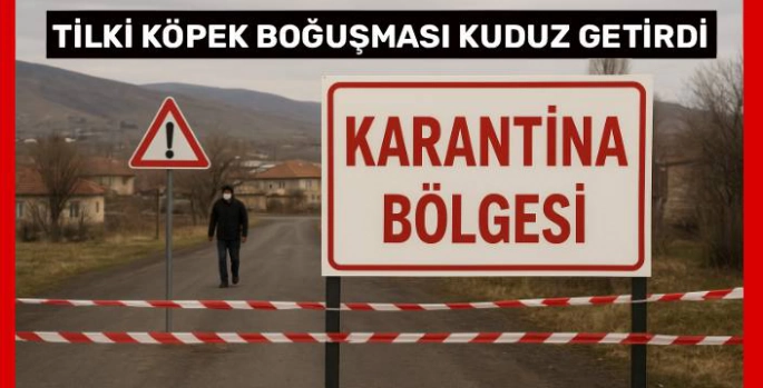 Şok Kuduz Vakası! Tilkiyle Boğuşan Köpek Tüm Beldeyi Karantinaya Aldırdı!