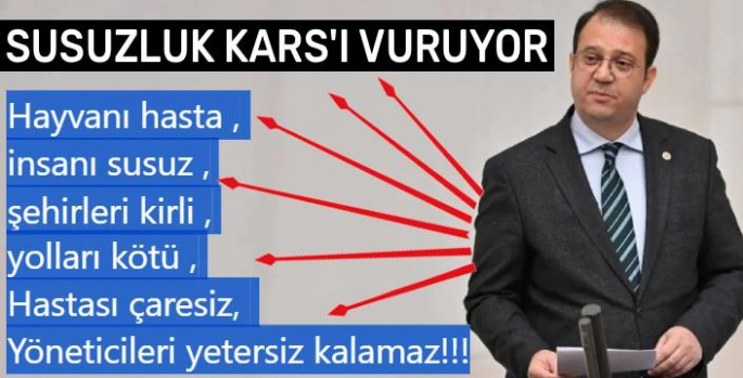 Susuzluk Kars'ı Vuruyor, TBMM Gündeminde: 'İnsanı Susuz, Hayvanı Hasta!'
