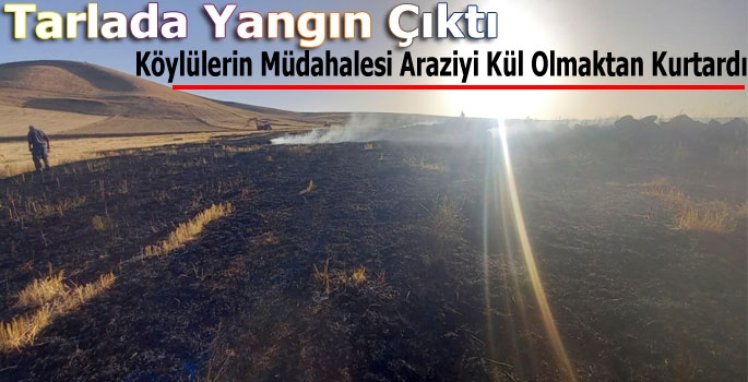 Tarlada Yangın Çıktı, Köylülerin Müdahalesi Araziyi Kül Olmaktan Kurtardı