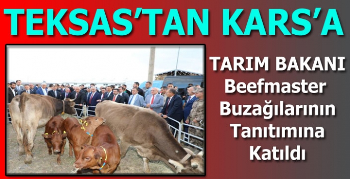 TEKSAS'TAN KARS'A