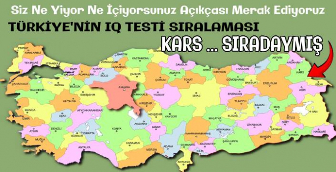 Türkiye'nin En Zeki Şehirlerinde Bakın Kars Kaçıncı Sıradaymış!