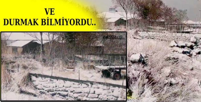 Ve Durmak Bilmiyordu..