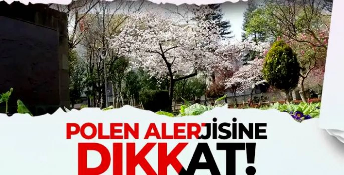 Yaz Sıcağıyla Gelen Gizli Tehlike: Polenler