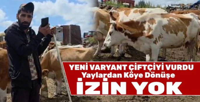 Yeni Varyant Çiftçiyi Vurdu: Yayladan Köye Dönüşe İzin Yok