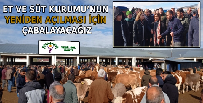 Yeşil Sol Parti Kars Milletvekili Adayları Hayvan Üreticisiyle Buluştu