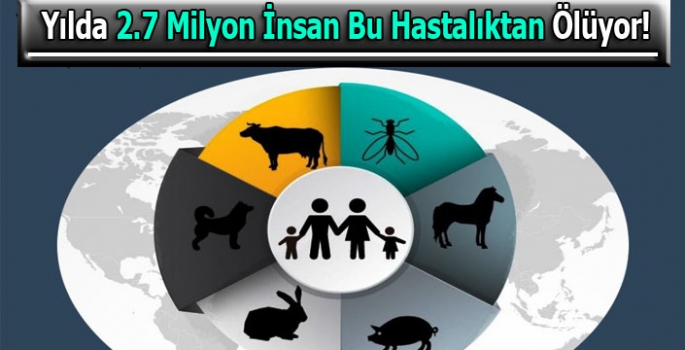 Yılda 2.7 Milyon İnsanın Bu Hastalıktan Öldüğü Tahmin Ediliyor