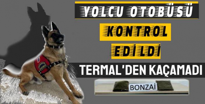 Yolcu Otobüsünde Taşıyordu, Termal Yakaladı!