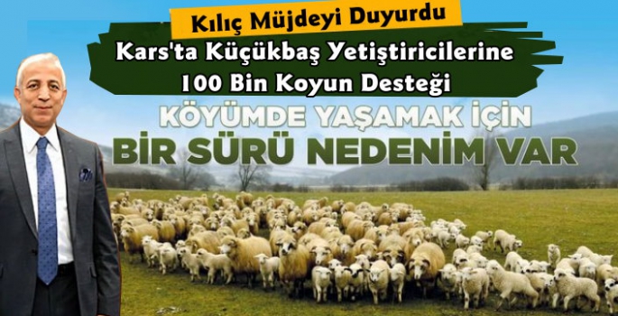 Yunus Kılıç Müjdeyi Verdi, Kars'a 100 Bin İlave Koyun